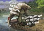 900x642