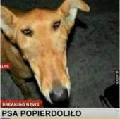 320x319