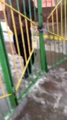406x720