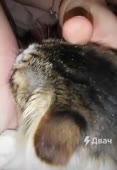 544x784