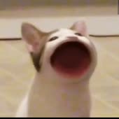 360x360