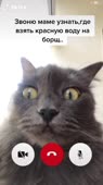 540x960
