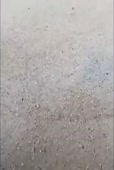 338x500