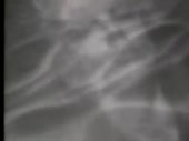 480x360