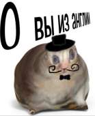 788x960