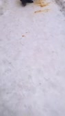 406x720