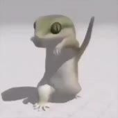 360x360