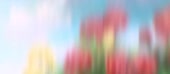 1280x564