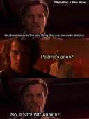 460x609