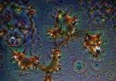 690x482