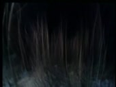 480x360