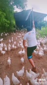 406x720