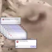 720x720