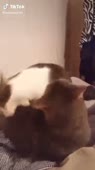 360x640