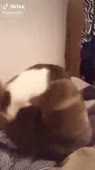 360x640