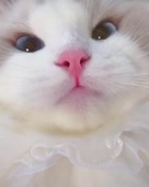 640x800