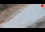 490x360