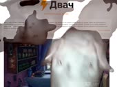 640x480