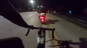 430x242