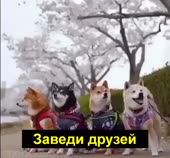 480x448