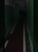 270x360