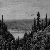 1200x1200