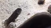 400x224