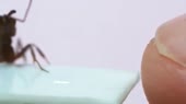 478x268