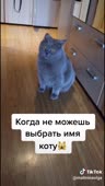 544x960