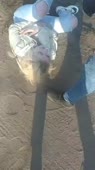 360x640