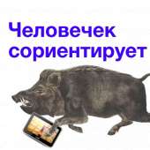 512x512