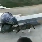 360x360
