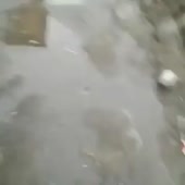 360x360