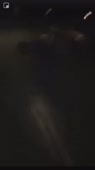 460x816