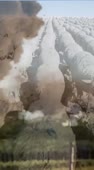 460x828