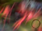 480x360