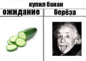 569x408