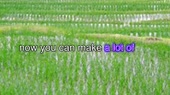 1280x720
