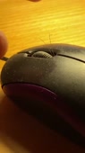 540x960