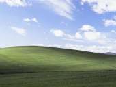 800x599