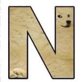 320x319