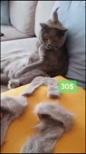 576x1024