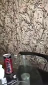 204x360