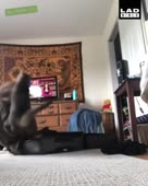 288x360