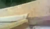 400x232