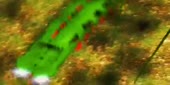 570x288