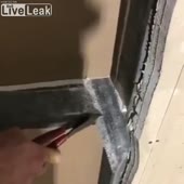 360x360