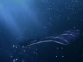 480x360