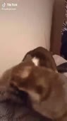 360x640