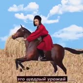 360x360